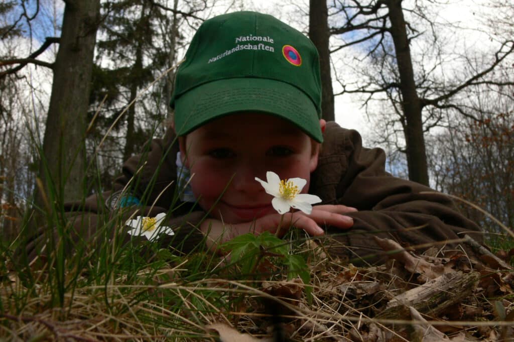 Frühling im Nationalpark