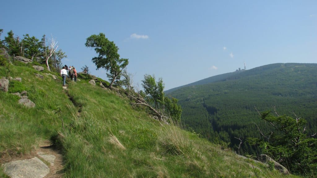 Brocken vom Scharfenstein gesehen